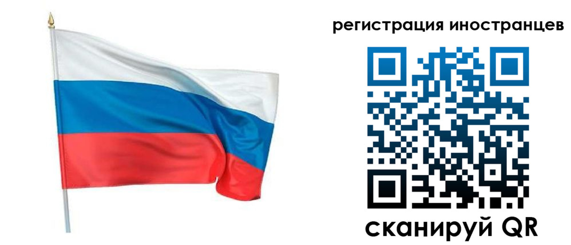 прописка 2025 в Кингисеппе